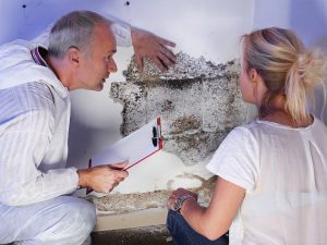 man and woman inspecting and testing mold on a wall