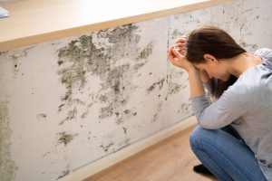 woman anguishing over mold on her wall