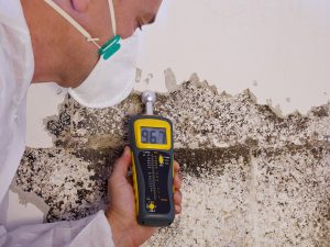 Man with face mask and thermohygrometer checking mold on a wall as mold inspection service