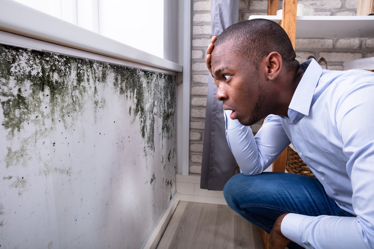 Worried man considering to schedule a mold inspection and testing