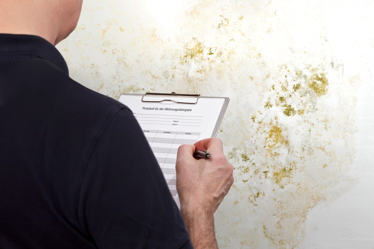 Man conducting Mold Inspection And Testing