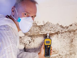 Professional mold inspector checking the humidity on wall with a device.