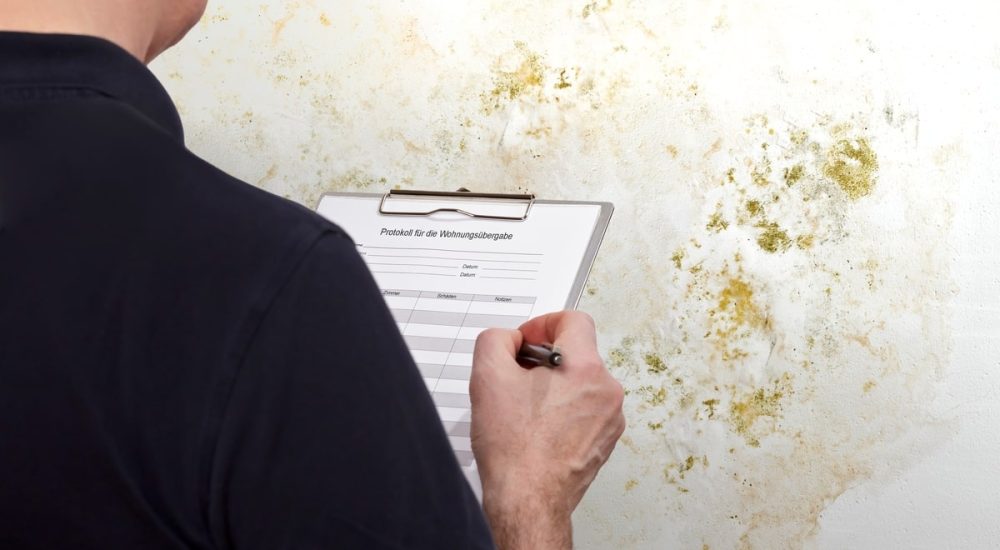 Man conducting Mold Inspection And Testing